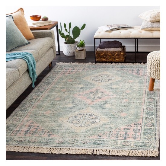 Surya Zainab ZAI-2316 2' x 3' Rug