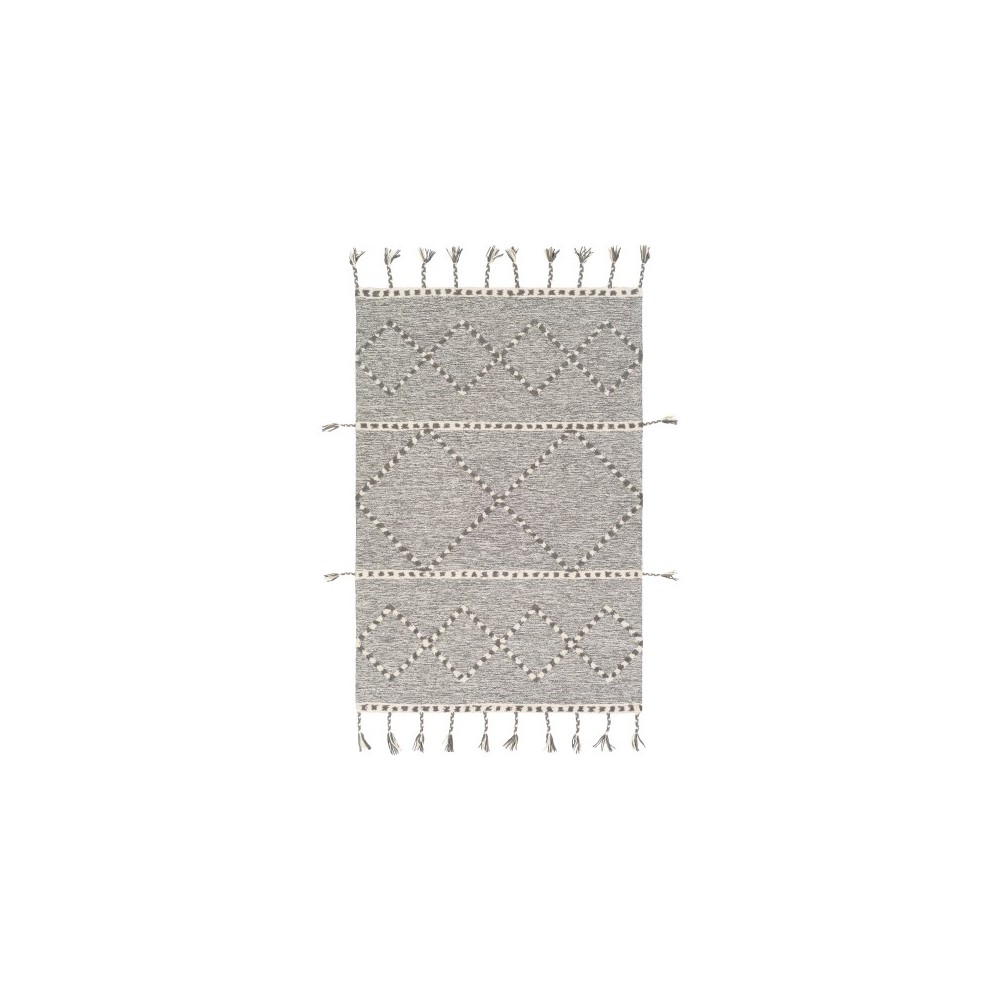 Surya Zanafi Tassels ZTS-2300 8' x 10' Rug