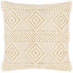 Surya Hygge HYG-003 20" x 20" Pillow Cover