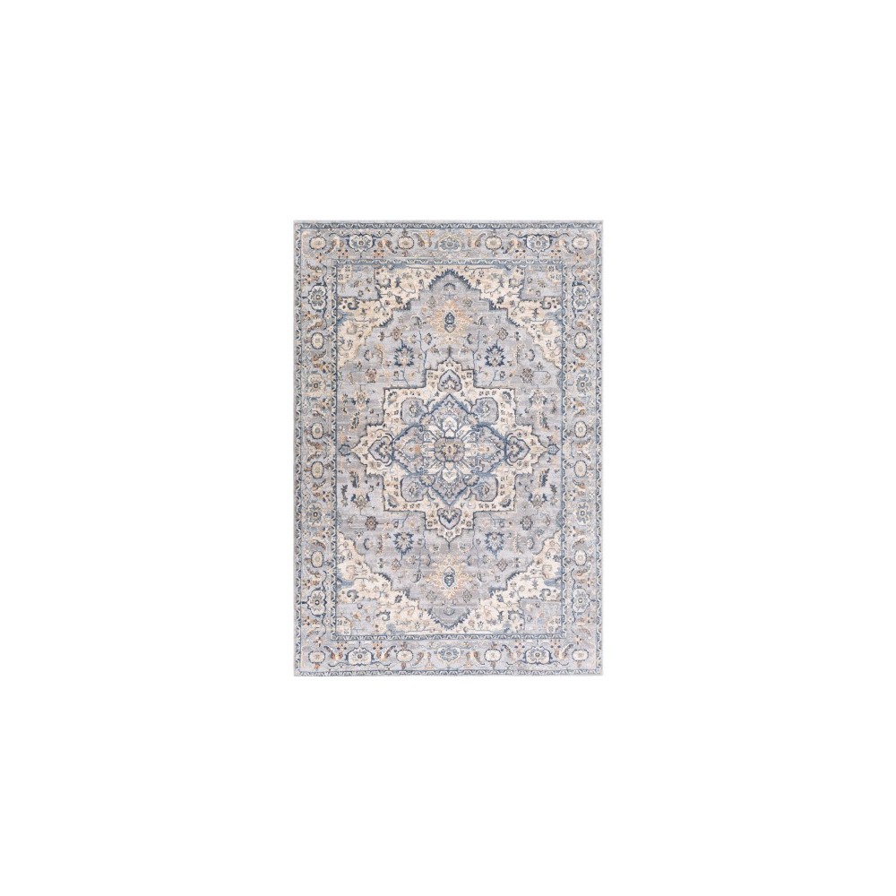 Surya Colmar OLM-2300 2' x 3' Rug