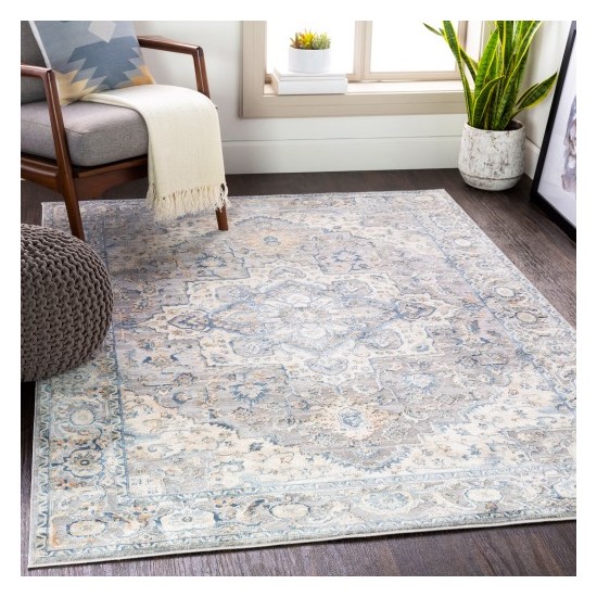 Surya Colmar OLM-2300 2' x 3' Rug