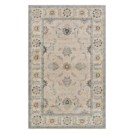 Surya Caesar CAE-1209 2' x 3' Rug