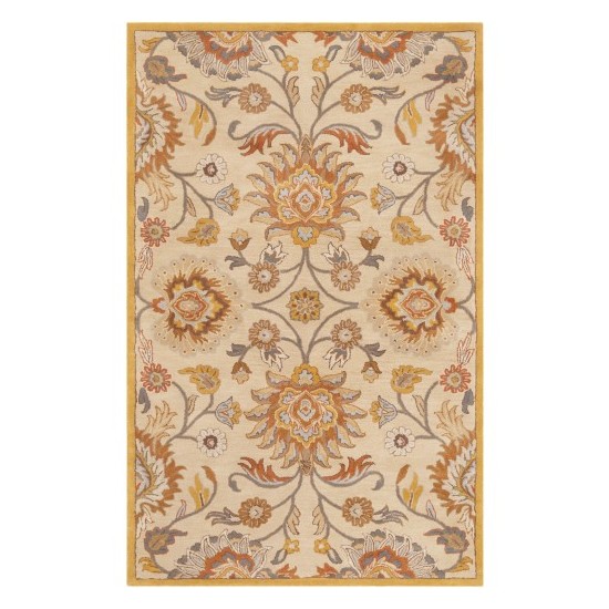 Surya Caesar CAE-1211 2' x 3' Rug