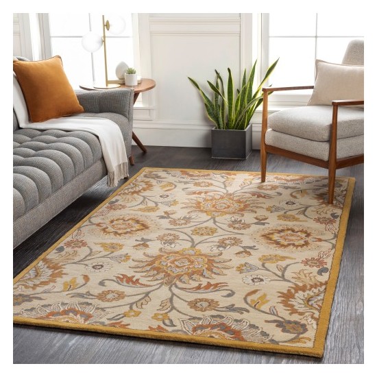 Surya Caesar CAE-1211 2' x 3' Rug