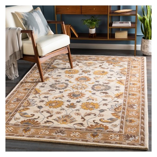 Surya Caesar CAE-1215 2' x 3' Rug