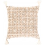 Surya Parisa PAI-001 20" x 20" Pillow Cover