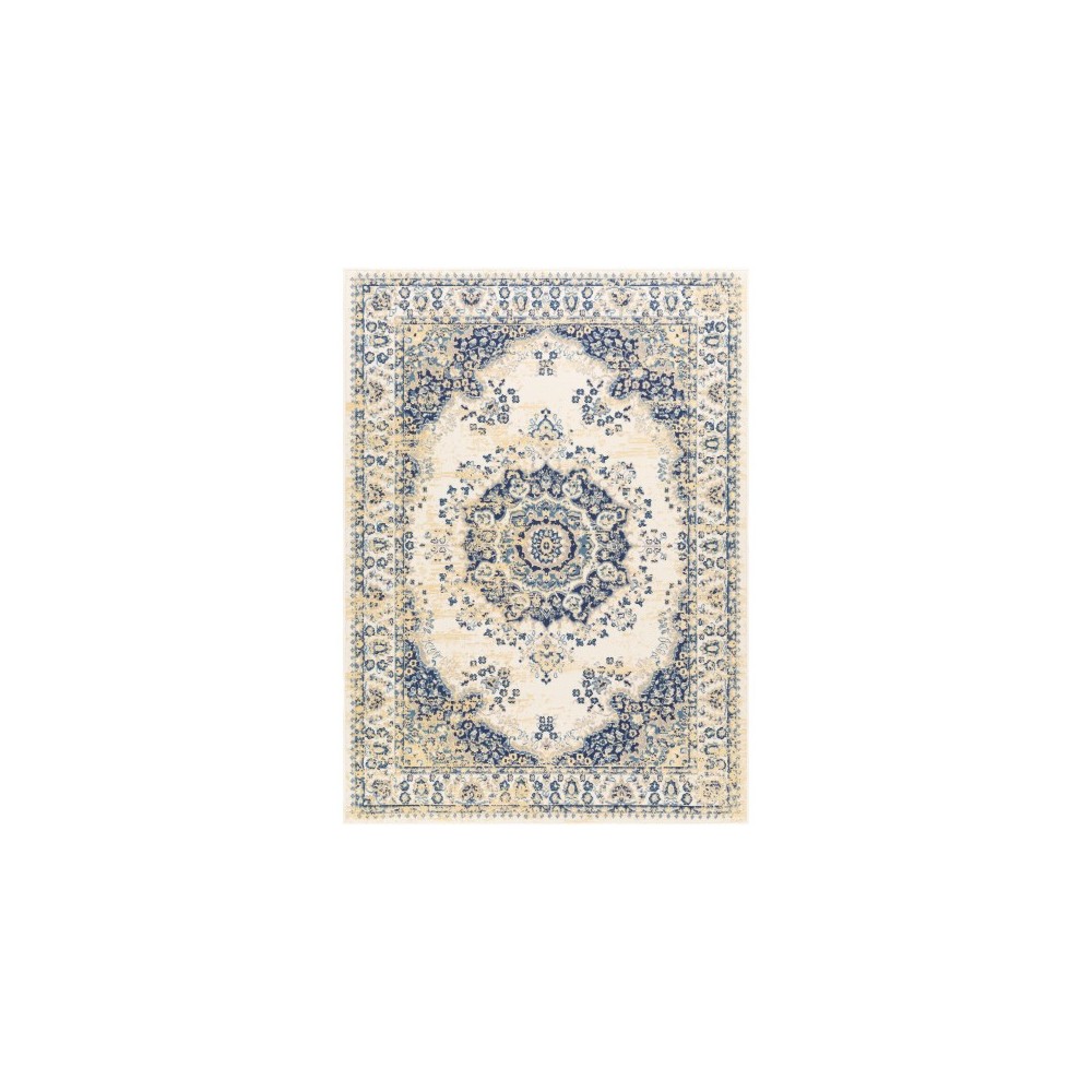 Surya Ustad UST-2304 2' x 2'11" Rug