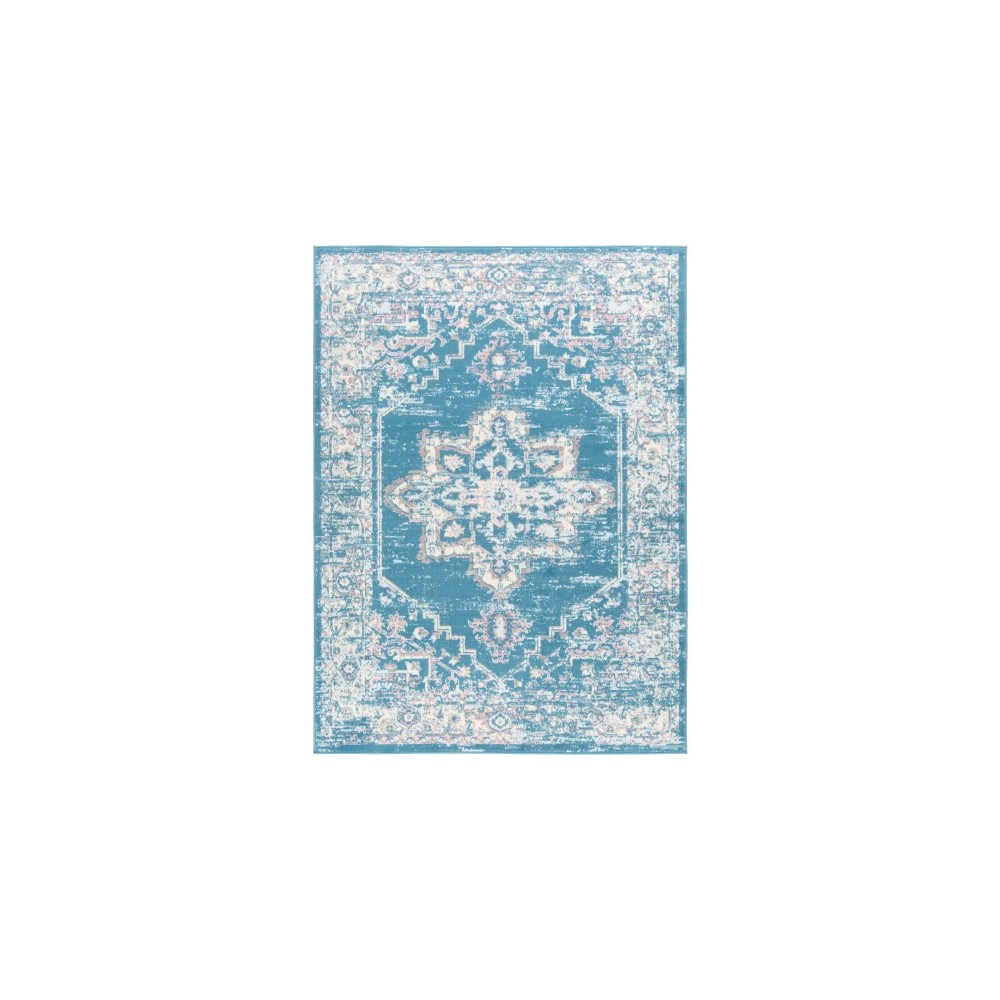 Surya Ustad UST-2305 2' x 2'11" Rug