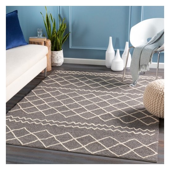 Surya Sinop SNP-2301 2' x 3' Rug