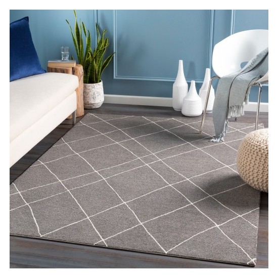 Surya Sinop SNP-2305 2' x 3' Rug