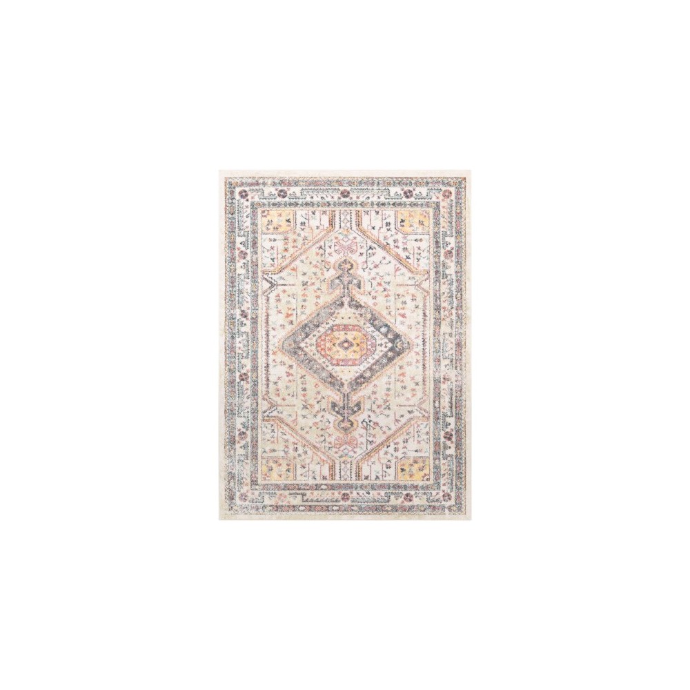 Surya New Mexico NWM-2301 7'10" x 10'3" Rug