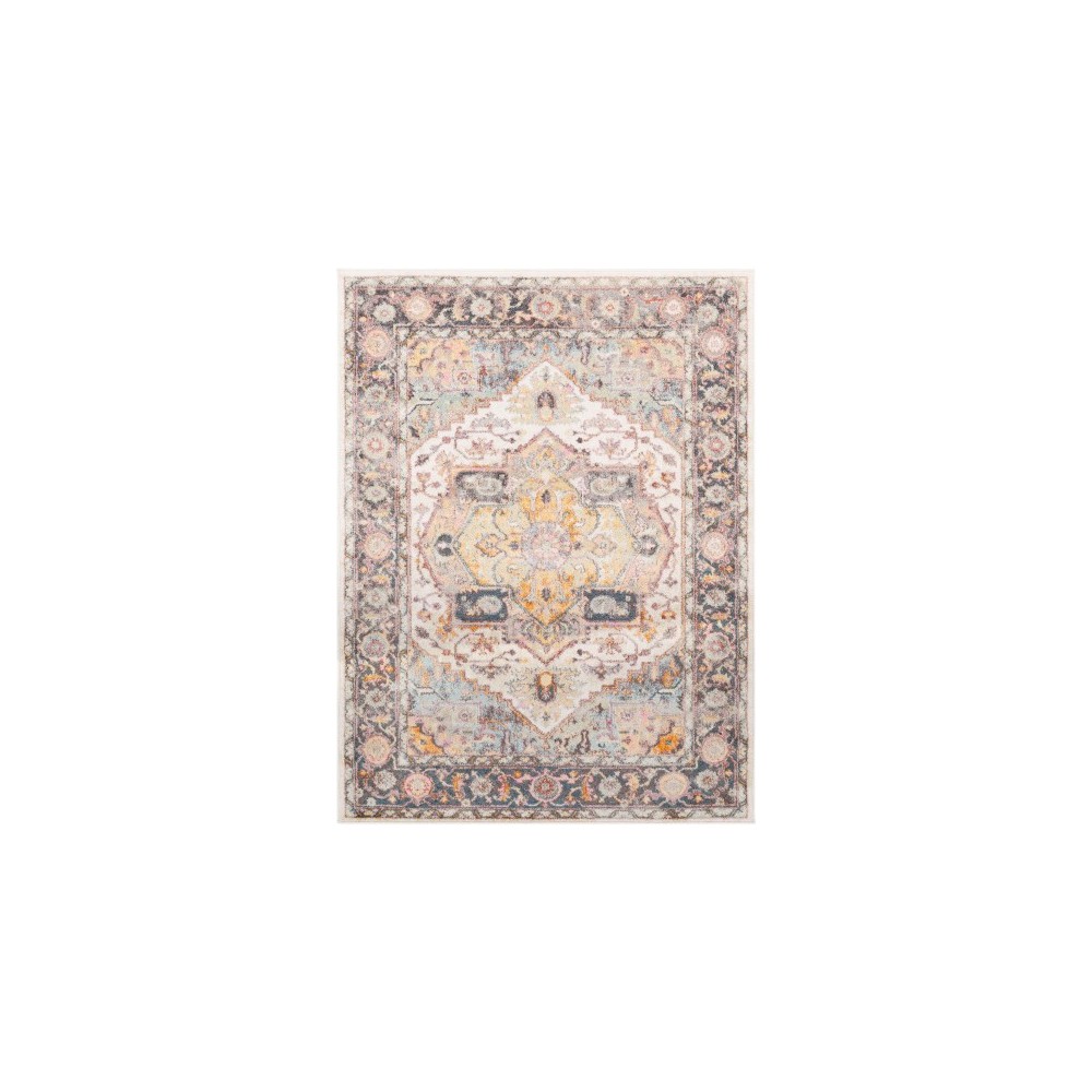 Surya New Mexico NWM-2304 2' x 3' Rug