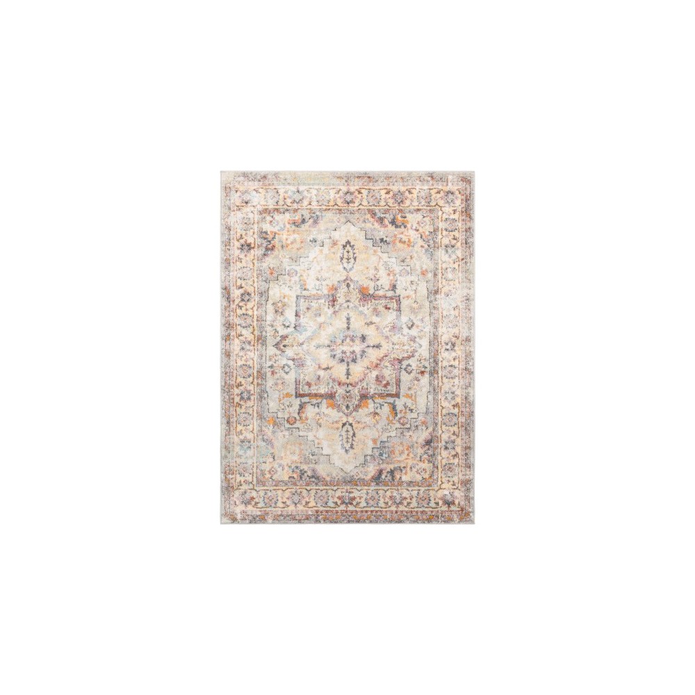 Surya New Mexico NWM-2305 2' x 3' Rug