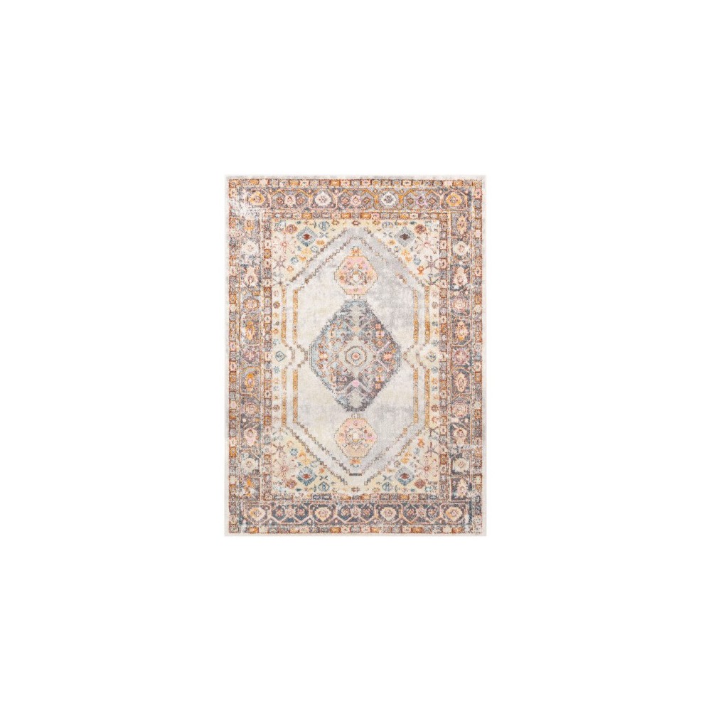 Surya New Mexico NWM-2306 7'10" x 10'3" Rug Surya New Mexico NWM-2306 7'10" x 10'3" Rug