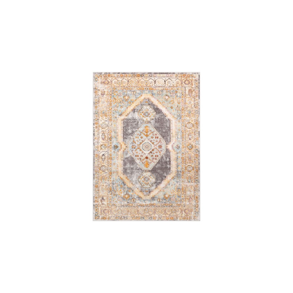 Surya New Mexico NWM-2307 7'10" x 10'3" Rug Surya New Mexico NWM-2307 7'10" x 10'3" Rug