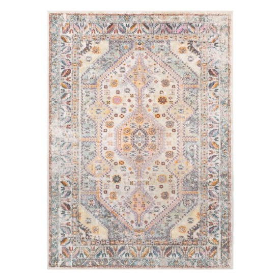 Surya New Mexico NWM-2309 5'3" x 7'3" Rug