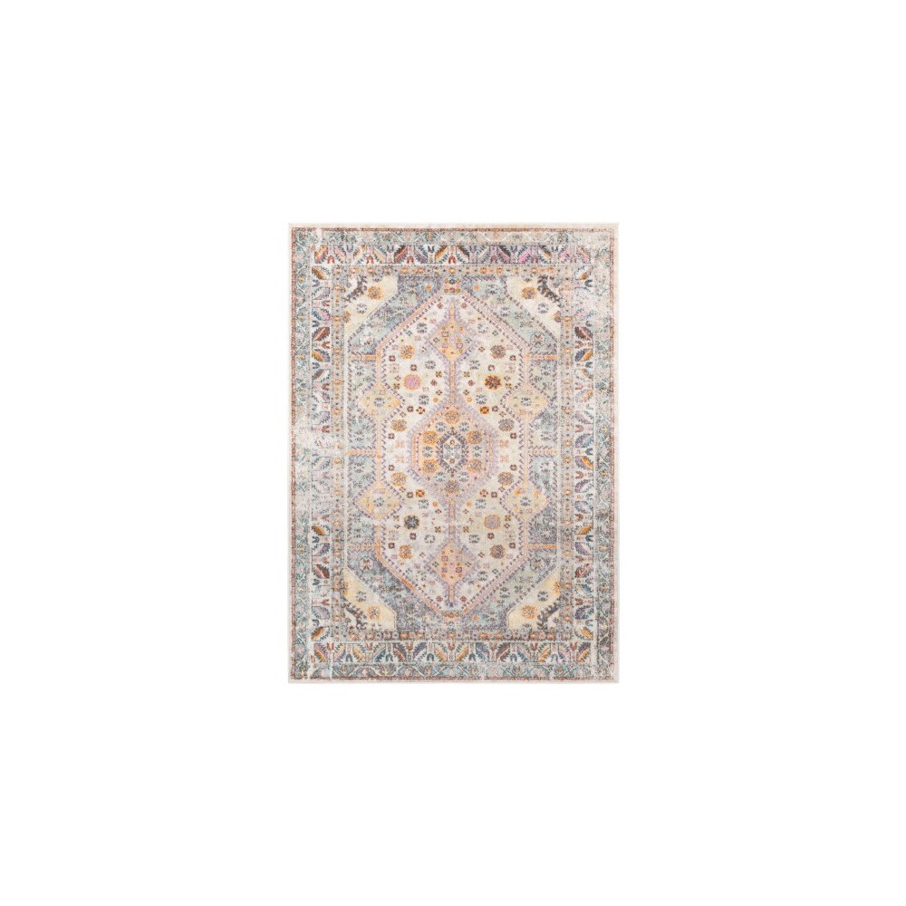 Surya New Mexico NWM-2309 5'3" x 7'3" Rug