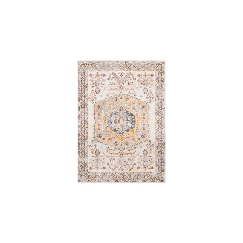 Surya New Mexico NWM-2312 2' x 3' Rug