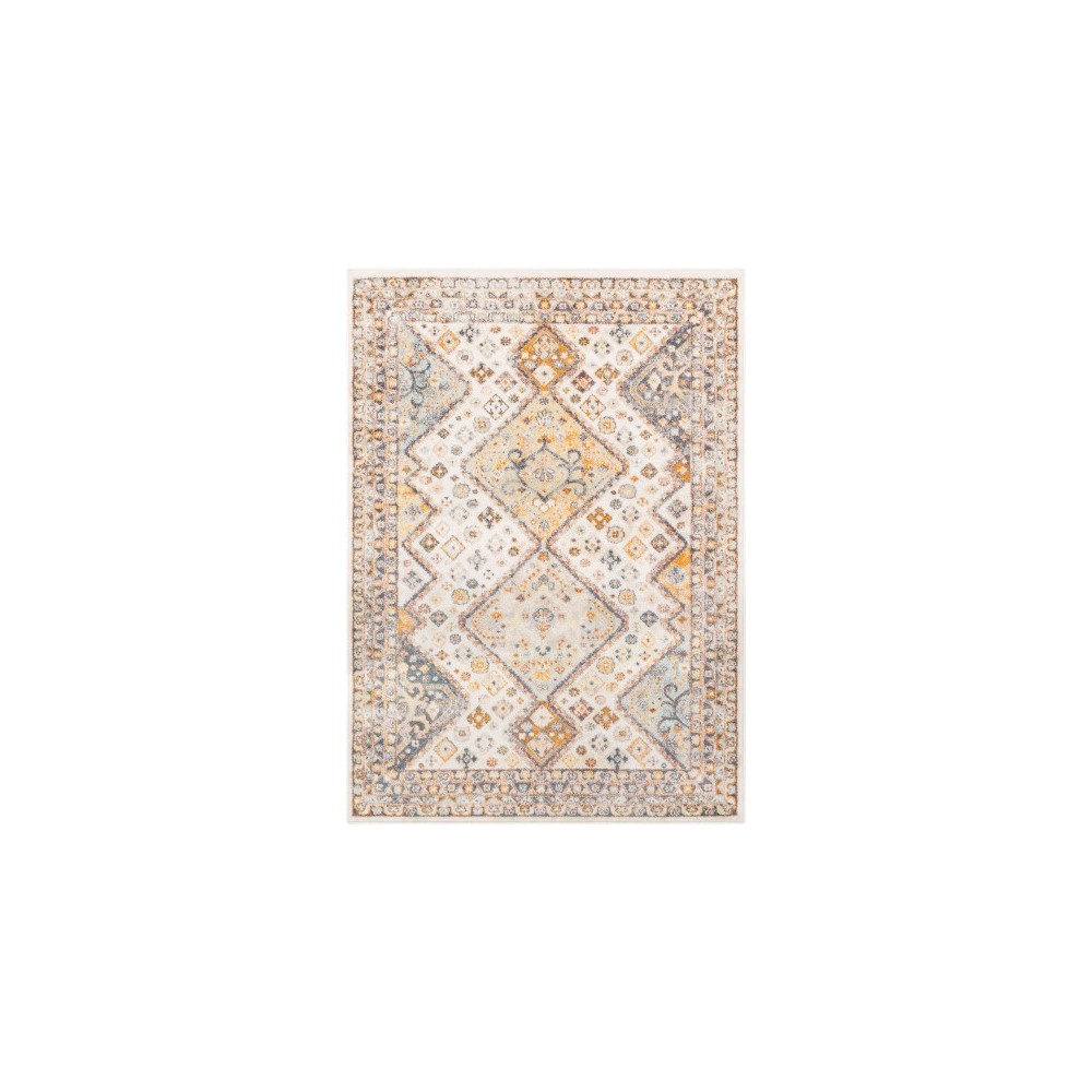 Surya New Mexico NWM-2313 5'3" x 7'3" Rug