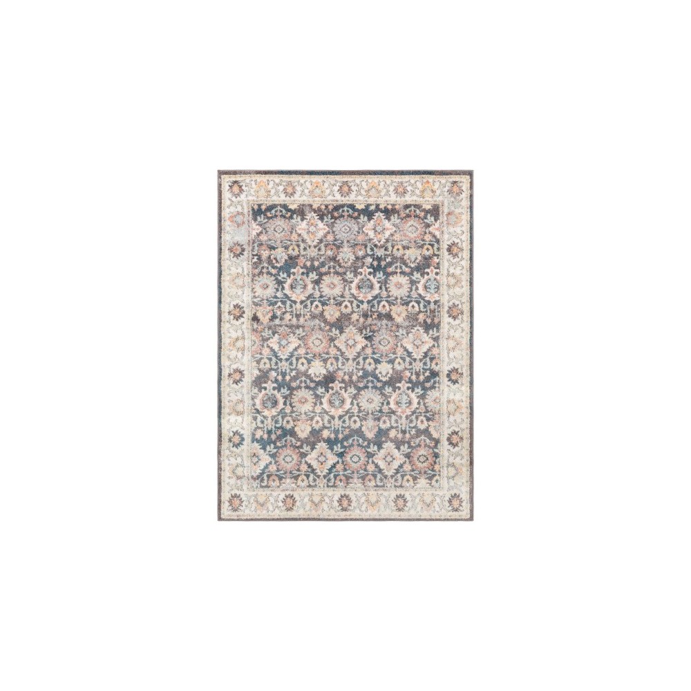 Surya New Mexico NWM-2316 2' x 3' Rug Surya New Mexico NWM-2316 2' x 3' Rug