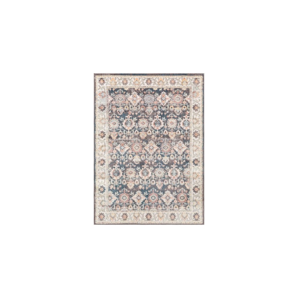 Surya New Mexico NWM-2316 7'10" x 10'3" Rug