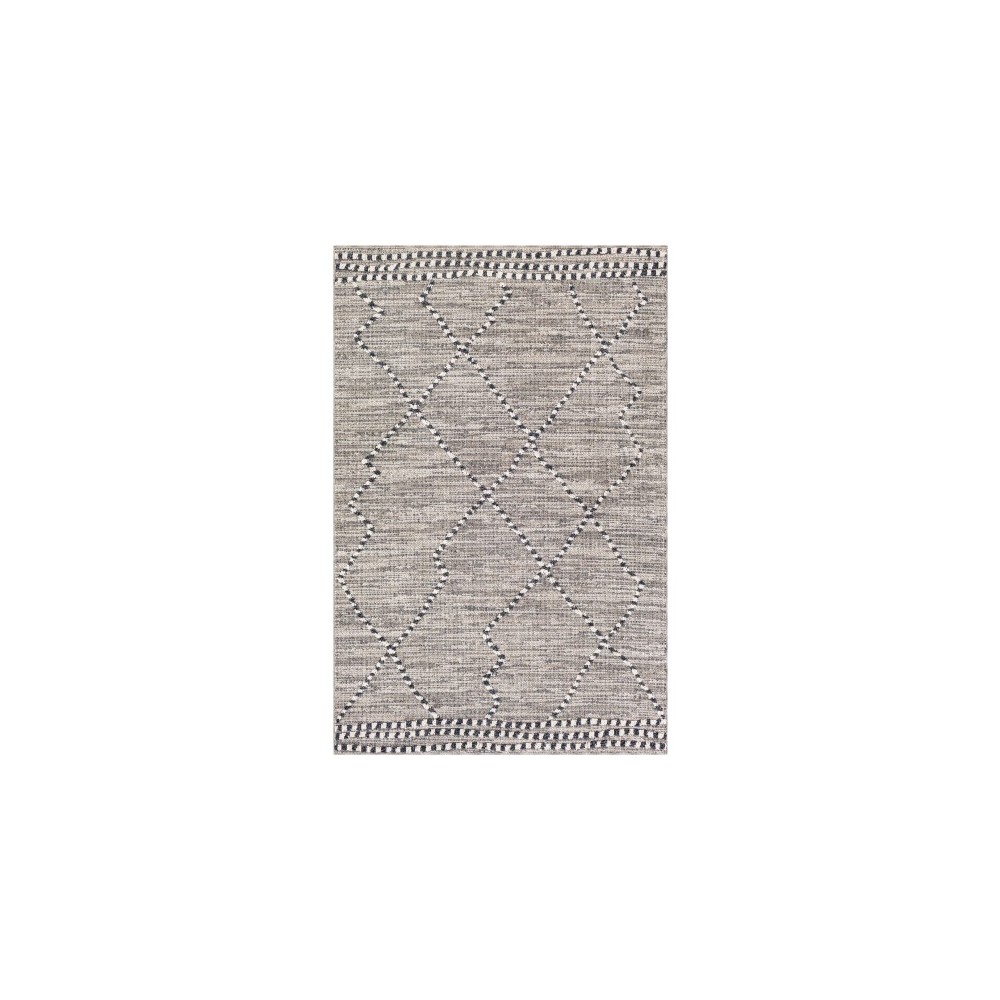 Surya Ariana RIA-2300 2' x 3' Rug