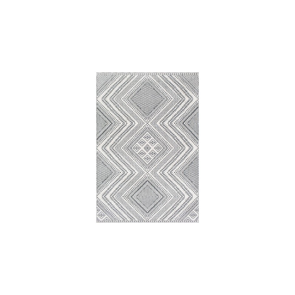 Surya Ariana RIA-2302 2' x 3' Rug