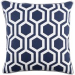 Surya Inga INGA-7010 18" x 18" Pillow Cover