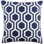 Surya Inga INGA-7010 18" x 18" Pillow Kit