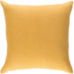 Surya Ethiopia ETPA-7214 18" x 18" Pillow Cover