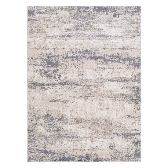 Surya Andorra ARD-2300 2' x 3' Rug