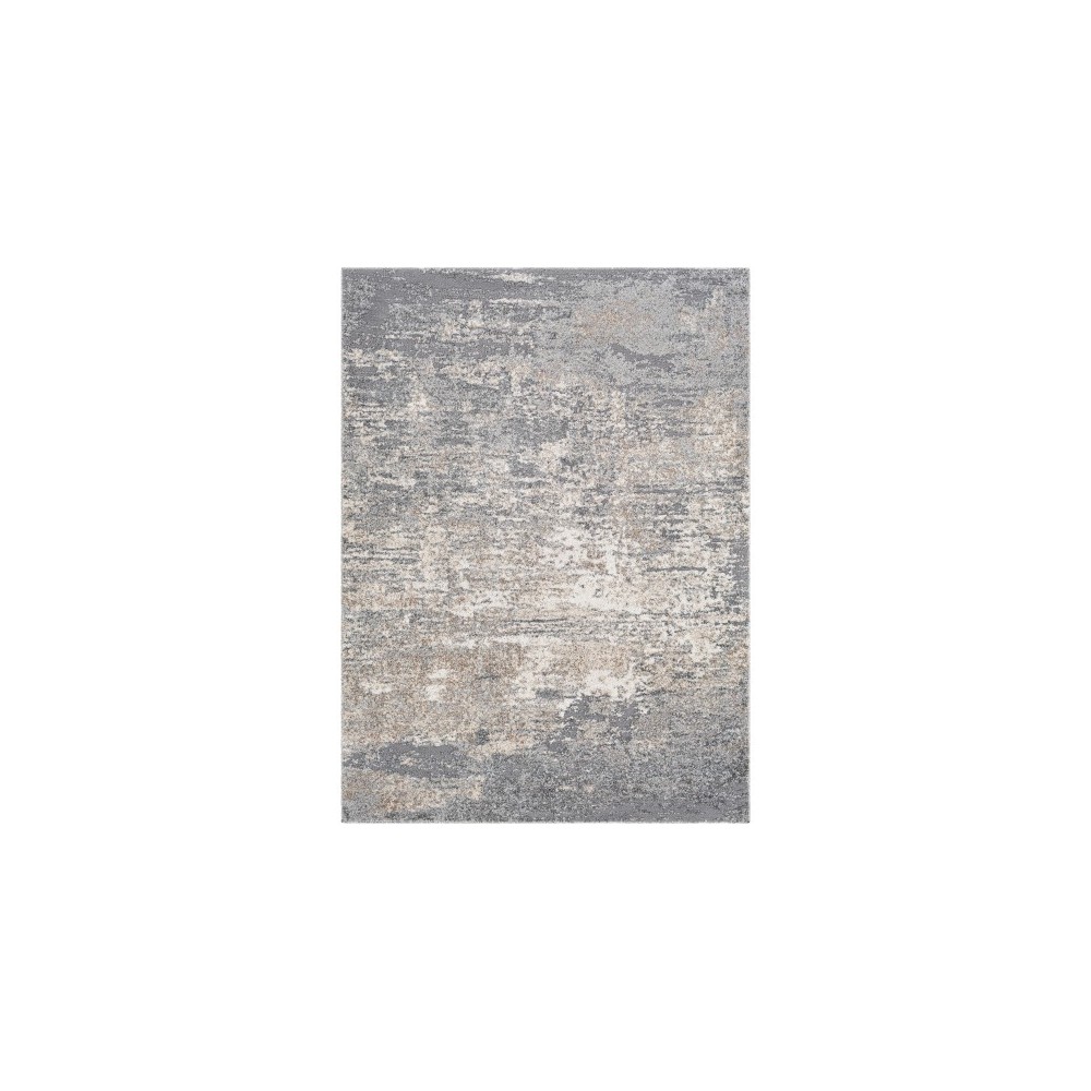 Surya Andorra ARD-2306 2' x 3' Rug