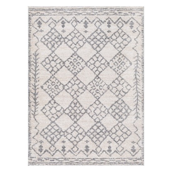 Surya Andorra ARD-2307 2' x 3' Rug