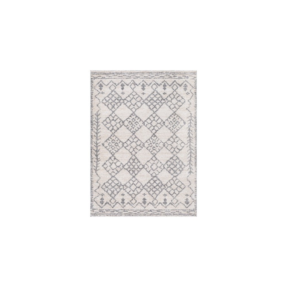 Surya Andorra ARD-2307 7'10" x 10' Rug Surya Andorra ARD-2307 7'10" x 10' Rug