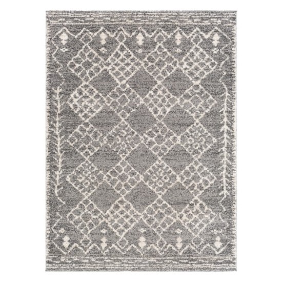 Surya Andorra ARD-2308 2' x 3' Rug