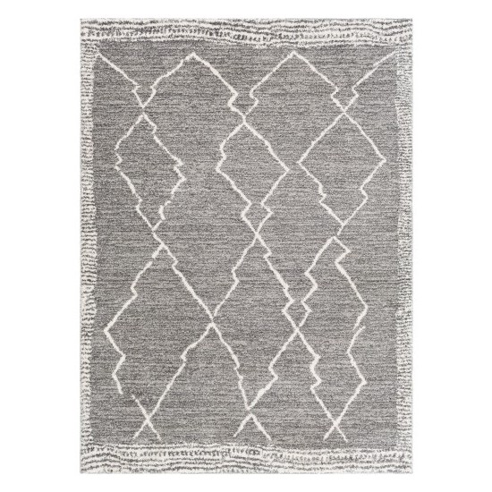 Surya Andorra ARD-2309 5'3" x 7'3" Rug