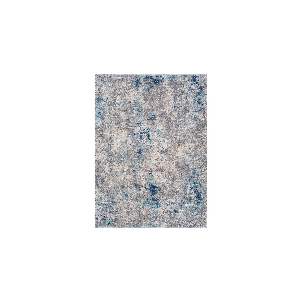 Surya Andorra ARD-2311 2' x 3' Rug