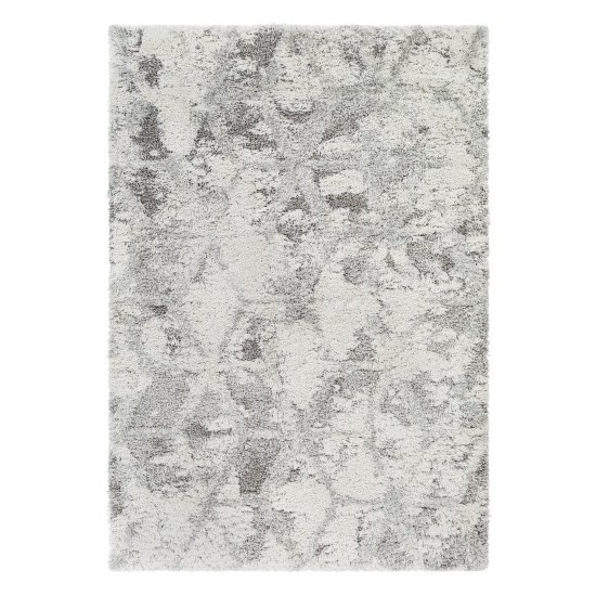 Surya Alta shag ASG-2302 2' x 3' Rug