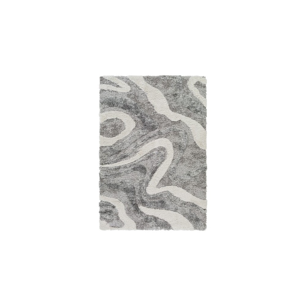 Surya Alta shag ASG-2303 2' x 3' Rug Surya Alta shag ASG-2303 2' x 3' Rug