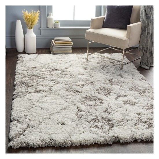 Surya Alta shag ASG-2305 2' x 3' Rug