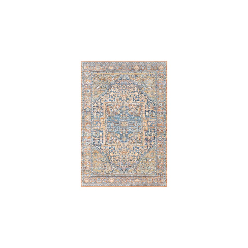 Surya Bodrum BDM-2325 5'3" x 7'3" Rug Surya Bodrum BDM-2325 5'3" x 7'3" Rug