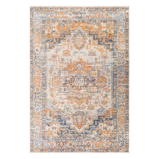 Surya Bodrum BDM-2327 5'3" x 7'3" Rug