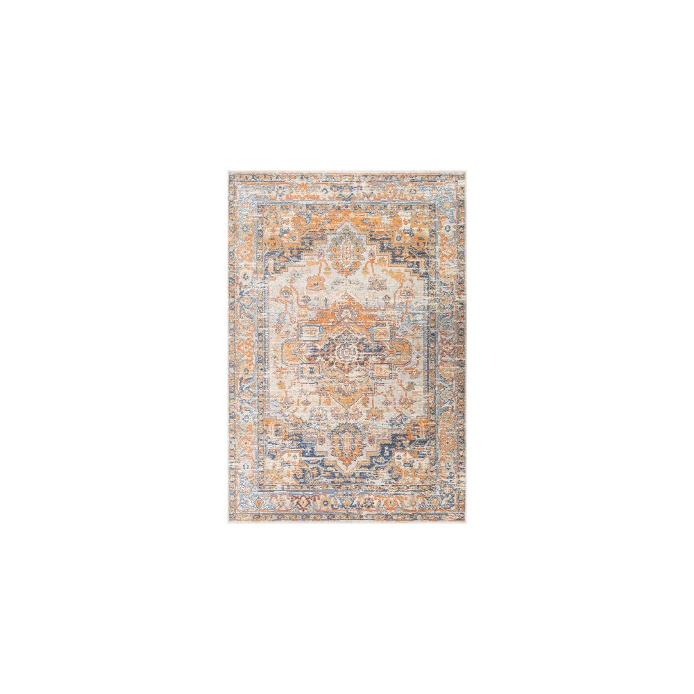 Surya Bodrum BDM-2327 5'3" x 7'3" Rug