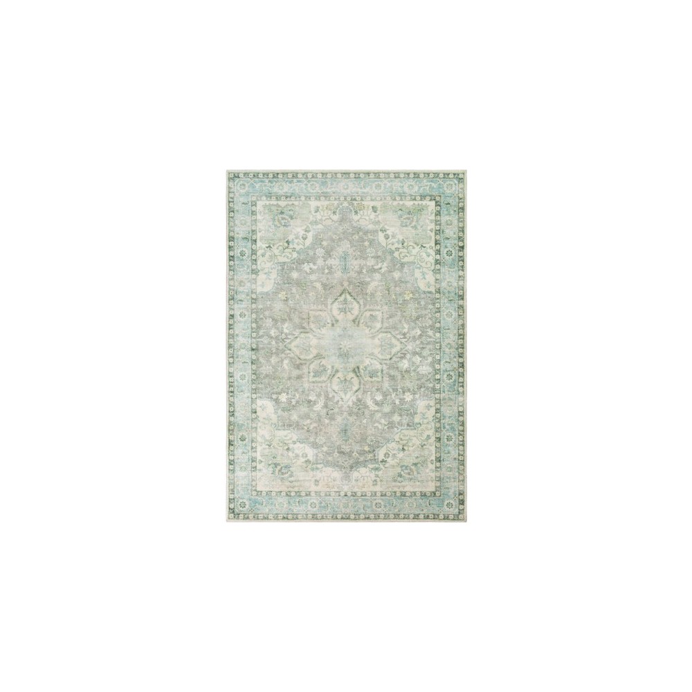 Surya Erin ERN-2309 2'6" x 4' Rug