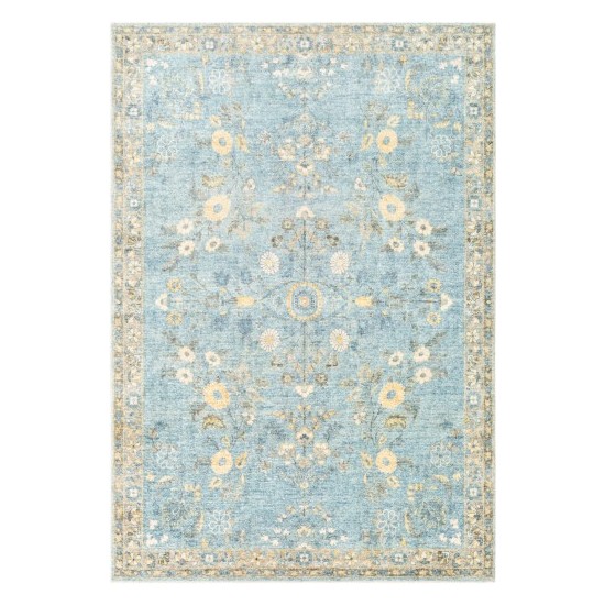 Surya Erin ERN-2311 2' x 3' Rug