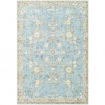 Surya Erin ERN-2311 2'6" x 4' Rug