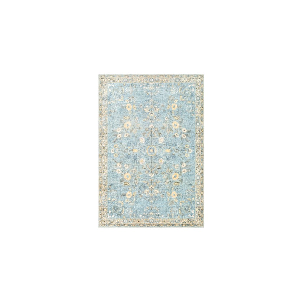 Surya Erin ERN-2311 2'6" x 4' Rug