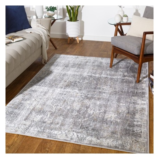 Surya Norland NLD-2313 10' x 14' Rug