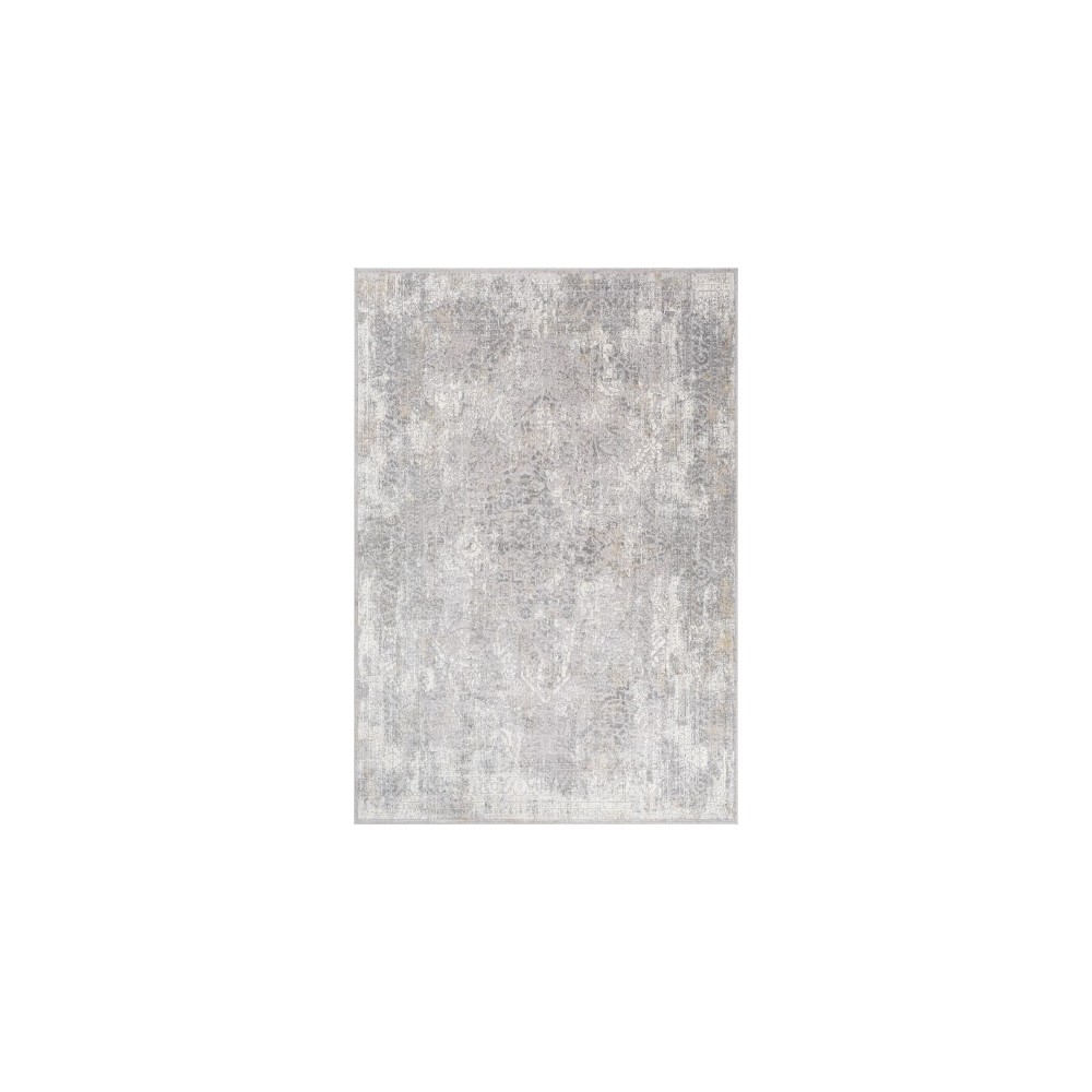 Surya Norland NLD-2313 2'7" x 4' Rug