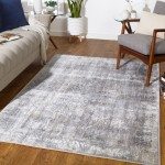 Surya Norland NLD-2313 2'7" x 4' Rug